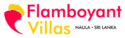 The Artisanal Logo of Flamboyant Villas