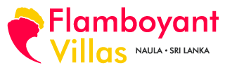 The Artisanal Logo of Flamboyant Villas